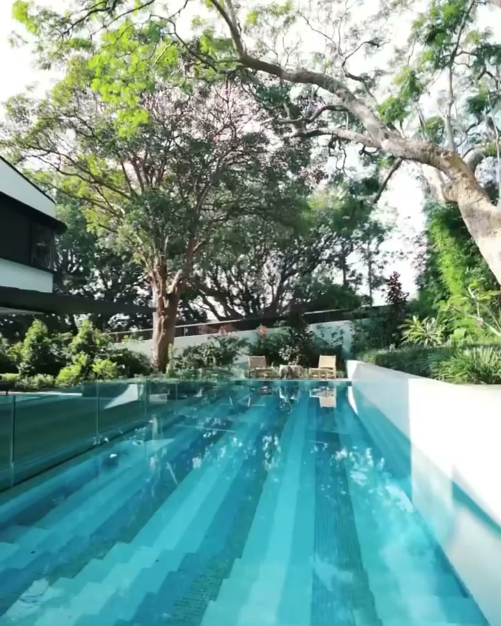 The garden