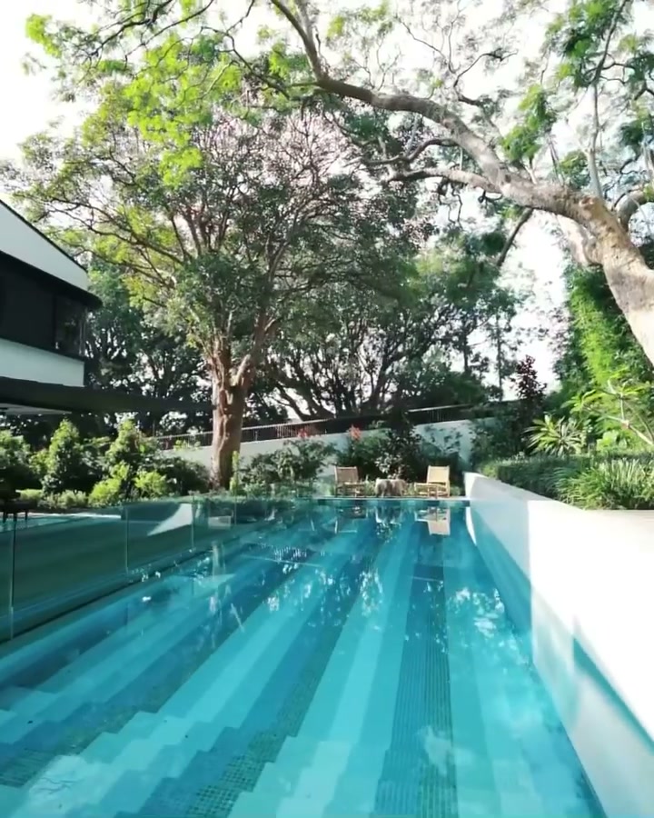 Twenty-metre lap pool beneath mature fig trees